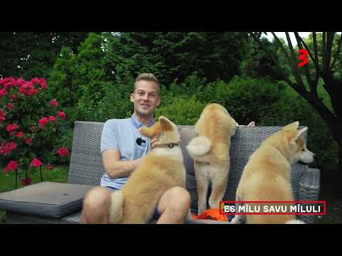 TV3 rudens sezona – izklaides spožākā zvaigzne