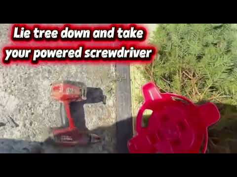 Screw on Stand