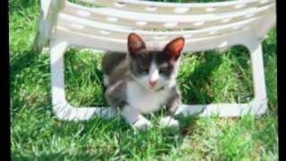 Hefner - The sad witch