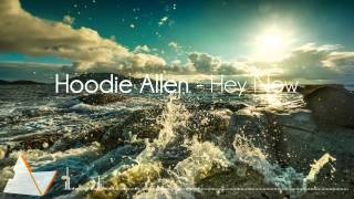 Hoodie Allen - Hey Now