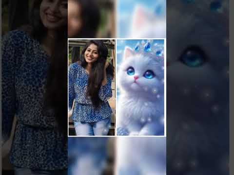 zee tamil serial 🆚 cats