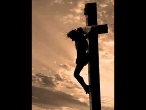 This must be the lamb video