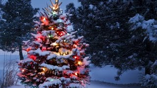 Will Climate Change Mean The End of The White Christmas?