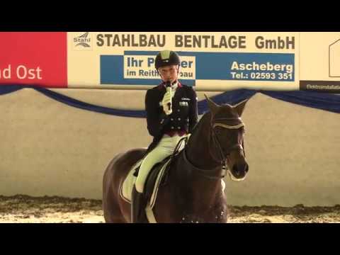 Franziskus - Hengstschau 2018