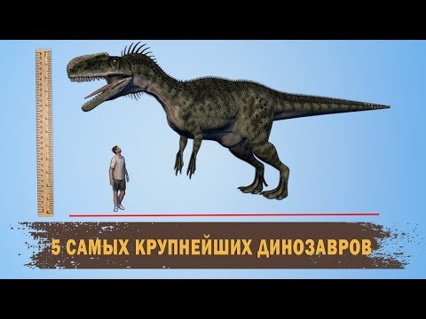 5 САМЫХ КРУПНЕЙШИХ ДИНОЗАВРОВ /5 OF THE LARGEST DINOSAURS IN THE WORLD/