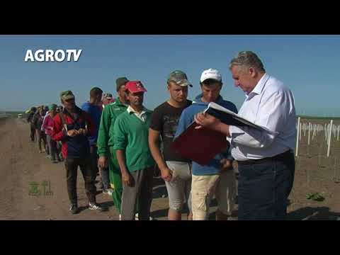 PORTRET DE FERMIER GHEORGHE ALBU