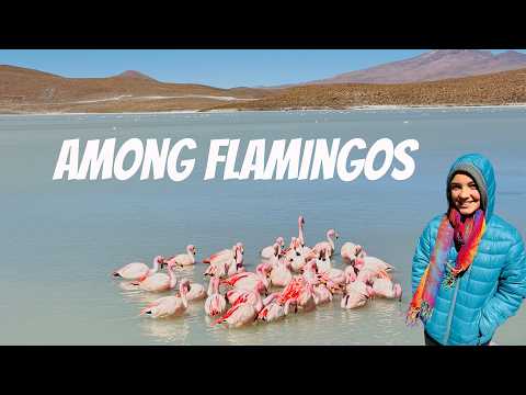 Beyond the Salt Flats | Bolivia Altiplano 🇧🇴