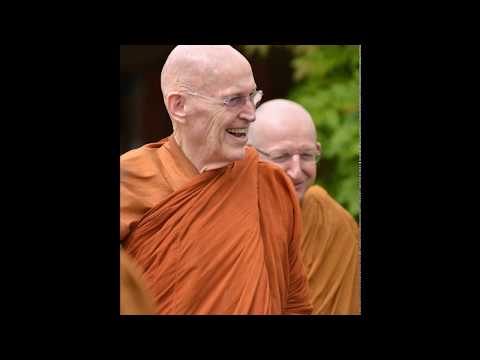 Ideals Do Not Have Feelings - Ajahn Sumedho - 2010 - Buddhism