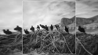 Startle the Heavens - Canyons (Full Album)