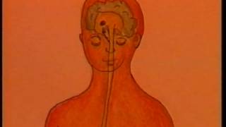 EDUCAZIONE ALLA SALUTE 01 educazione sessuale