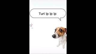 Cover art for turi ip ip