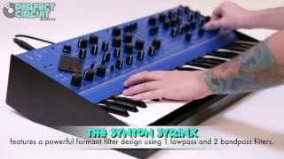 Video thumbnail for Synton Syrinx Demo by Perfect Circuit