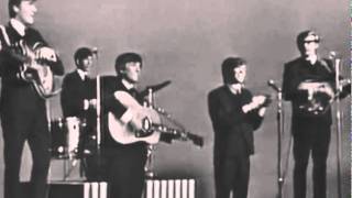 Herman&#39;s Hermits - I&#39;m Into Something Good (The Manchester Stadium)