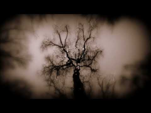 Post Apocalyptic - Spring Hypnosis