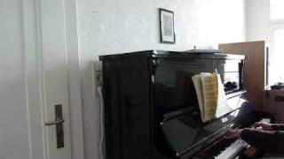 Frederic Chopin - Ballade No 1 - Markus Andreas Mayer