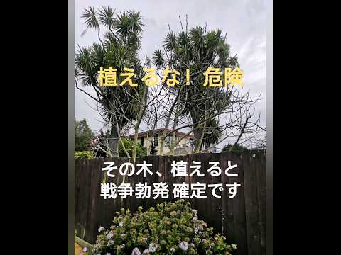 家の近くに植えてはいけない木は何ですか？なぜサイプレス・レイランドを避けるのですか？