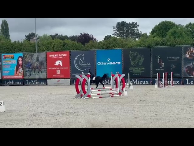 VANITEUX VD WILGENHOEVE