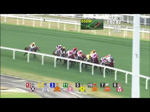 2017 The Stewards’ Cup International Group 1 1600m