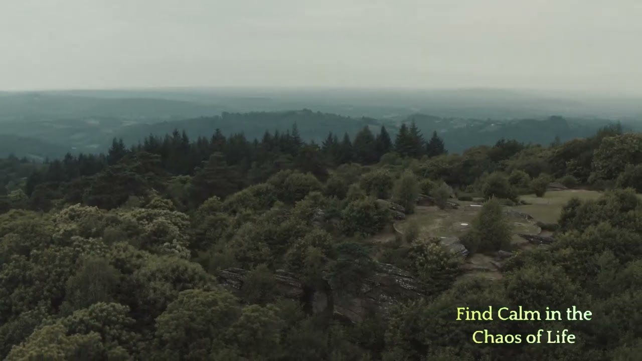 Enhancing Performance Flow with AI Meditation