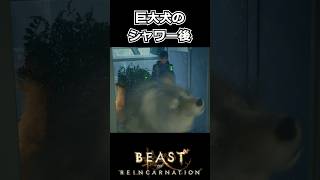【Beast of Reincarnation】巨大犬のシャワー後 #shorts 【ビースト・オブ・リンカネーション】
