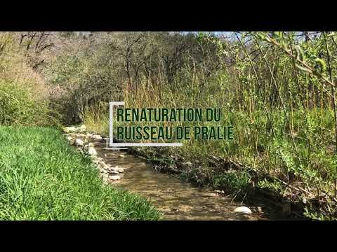 Renaturation - Ruisseau de Pralie