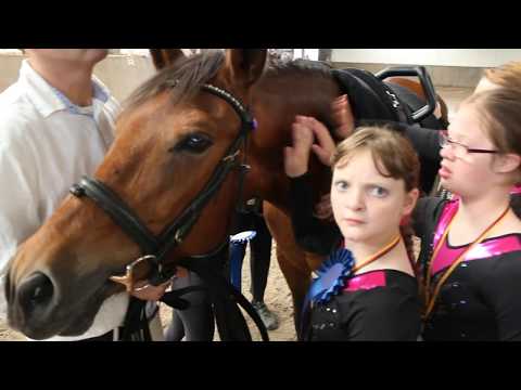 2017-07 TABALiNGO inklusive Voltigier-Aufführung