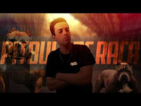 PITBULL DE RAÇA ( MEGA FUNK )
