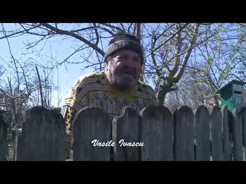 Un primar de nota 10 la Trifesti, Iasi