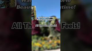 Walt Disney World The BEAUTY Of SPRINGTIME! All That is Disney ENJOY!