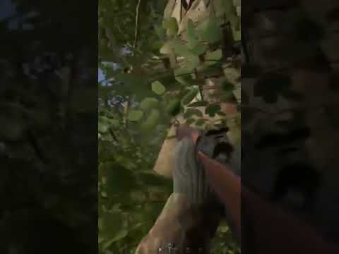 Hell Let Loose Kämpfen bis zum letzten!