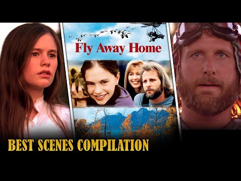 FLY AWAY HOME | Most Iconic Scenes | Hollywood Movie Scenes