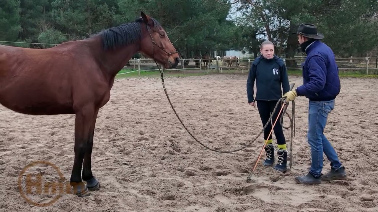 La mise sur le cercle