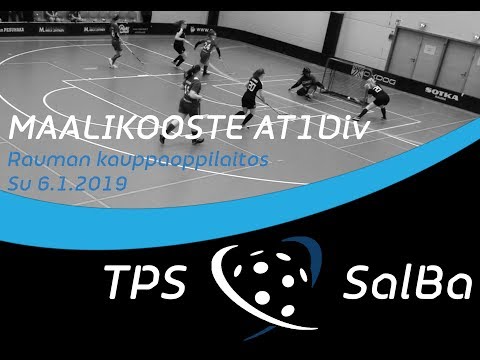 Maalikooste AT1D TPS - SalBa 6.1.2019