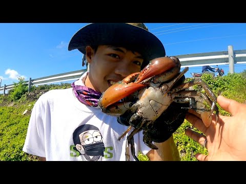 EP268.p1- NARANASAN DIN NG MGA BATA mangapa ng TALANGKA