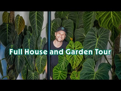 FULL PLANT TOUR - getting 200+ plants settled into my new house