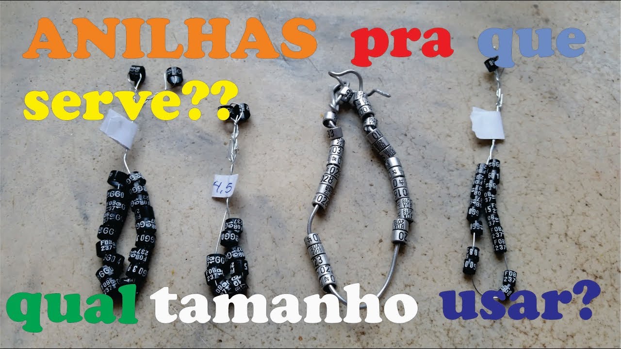 Anilhas -  qual ave precisa usar, qual tamanho e escrita ????