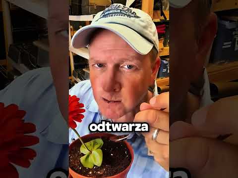 Sekret Filmowych TRIKÓW 😬🎥