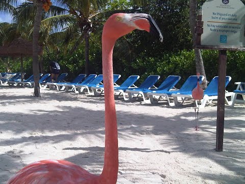 Deep House House Music Forever Summer 2020 mix, live from Renaissance Blue Bar. Mix by Rustica