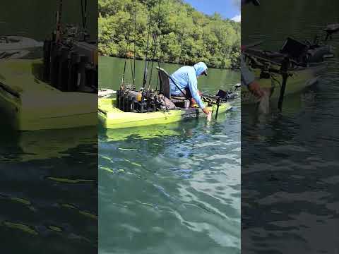 native watercraft Titan X release