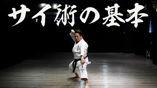 サイ術の基本