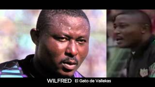 WILFRED El Gato de Vallekas