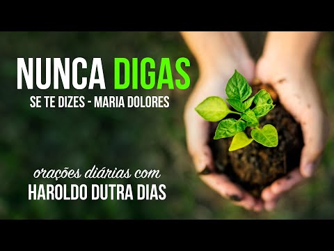 NUNCA DIGAS - Haroldo Dutra Dias - Se te dizes - Maria Dolores - Orações Diárias - DEUS TE UTILIZARÁ