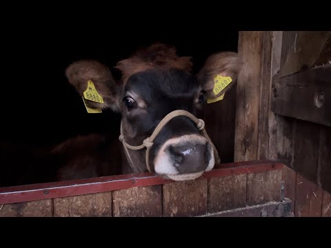 Weekend na wsi 11.11.2022 Agroturystyka Kozia Baba