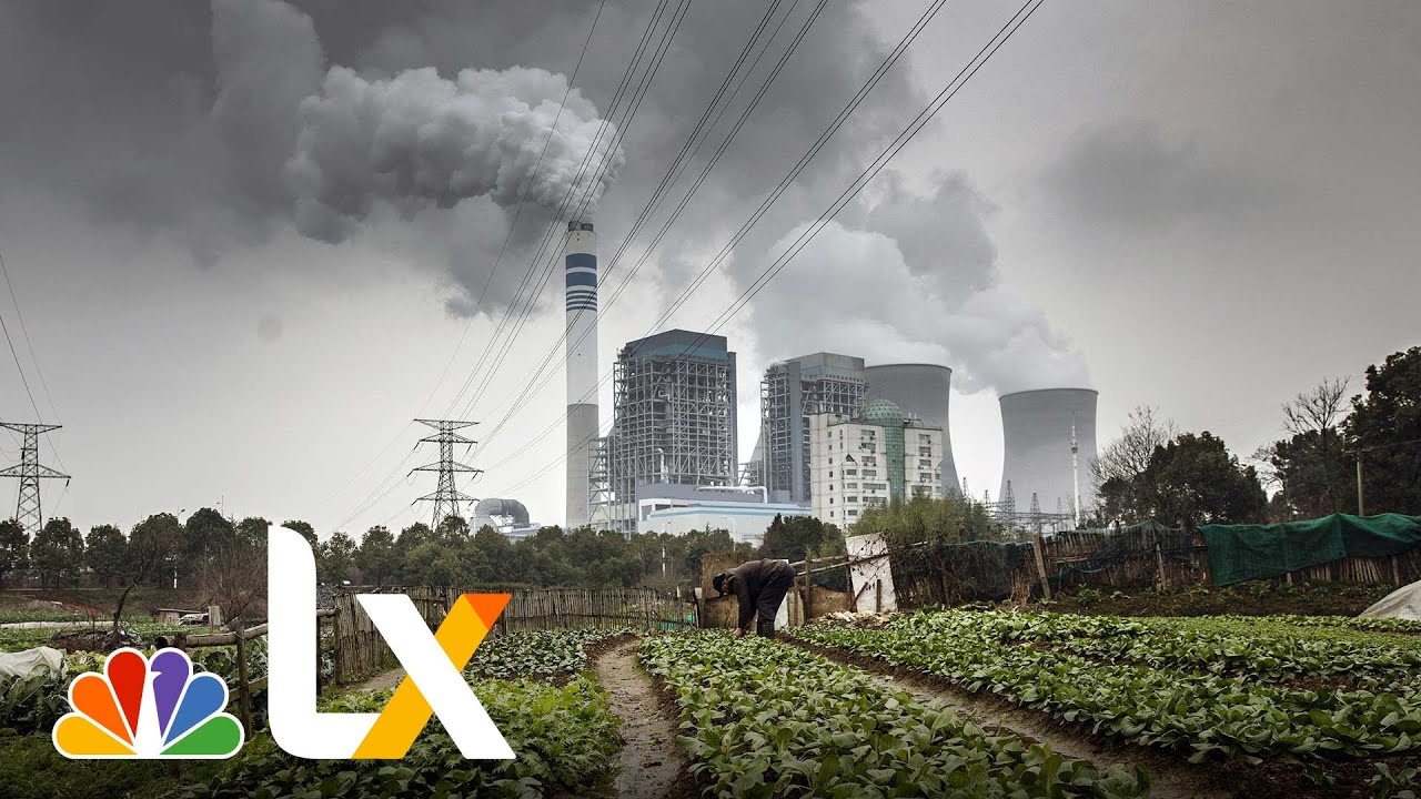 Six Steps We Can Take to Fight Climate Change | NBCLX