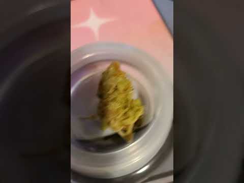 Is Girl Scout Cookies Cannabis Strain Worth The Hype?