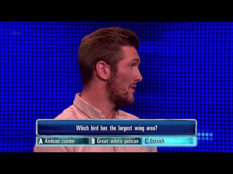 Ben Gets His 'Andrean Condor' Question Wrong - The Chase