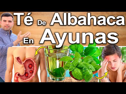 Basil tea on an empty stomach: What are its benefits? - Health and beauty benefits