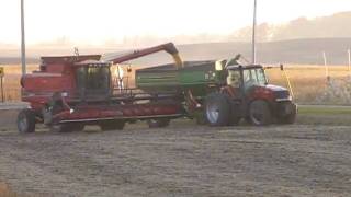 preview picture of video 'unloading soybeans near st.thomas harvest 2009'