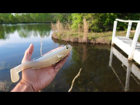 8in SWIMBAIT gets DESTROYED by ENORMOUS Bass (Bed Fishing)