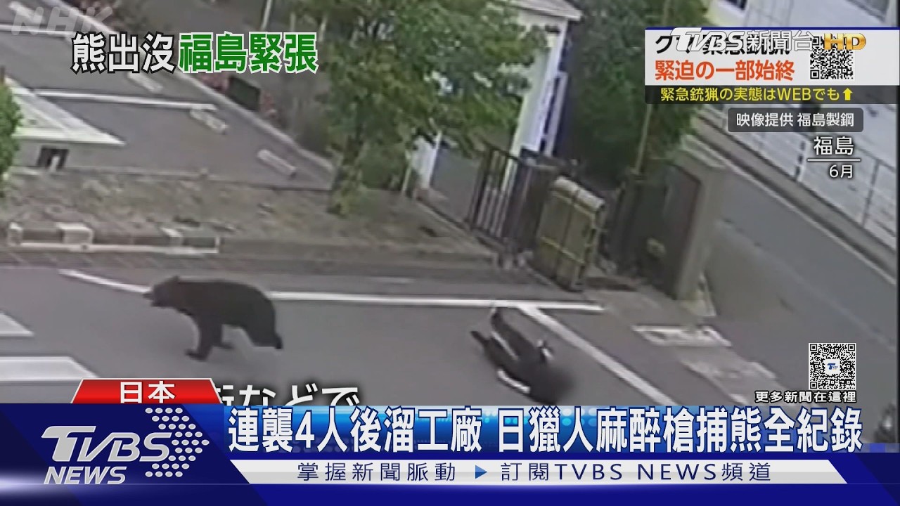影音/連襲4人後溜進工廠!日獵人麻醉槍捕熊「全紀錄」
